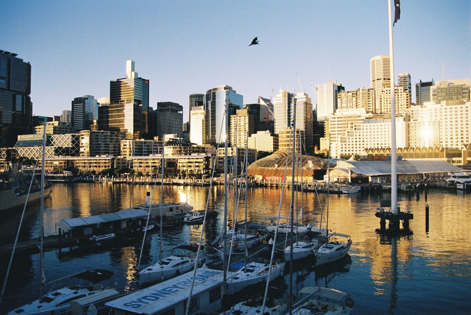 Darling Harbour