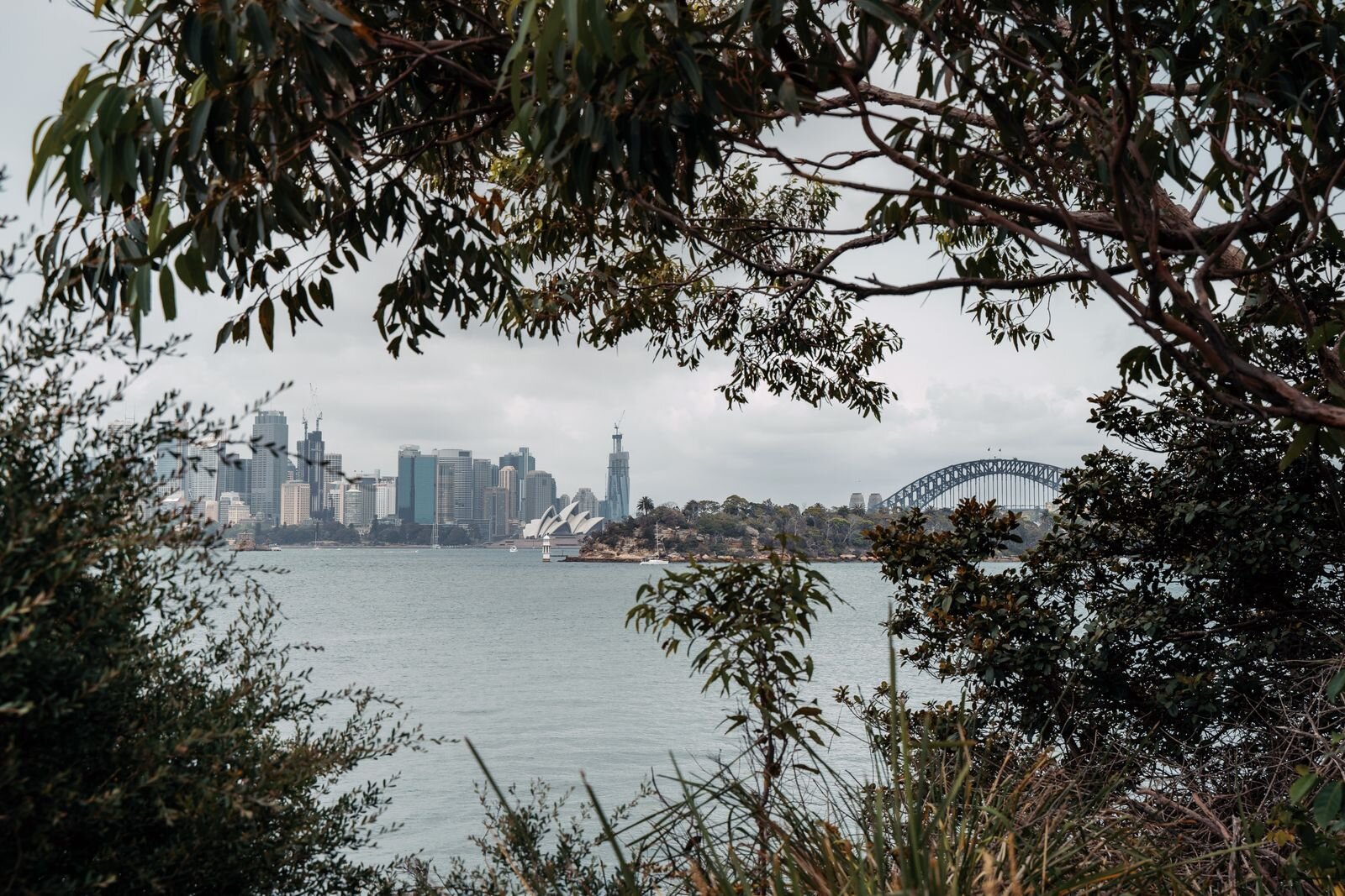 Taronga Zoo